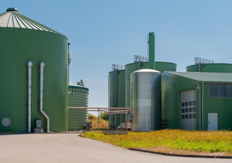 Biogas plant for power generation and energy